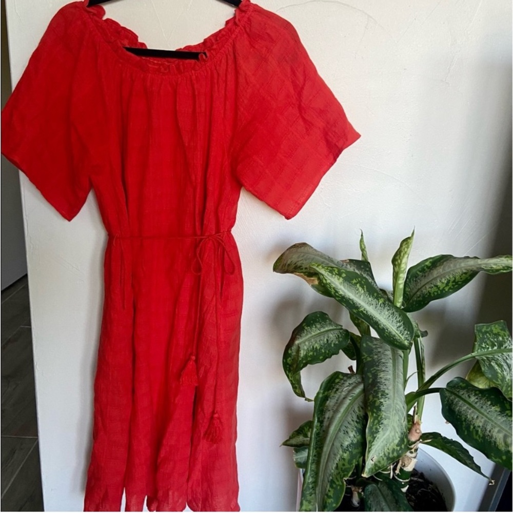 Roolee Red dress